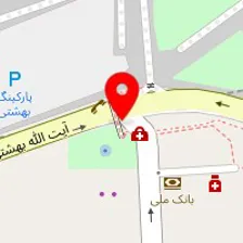 دکتر فیروزه بلاش