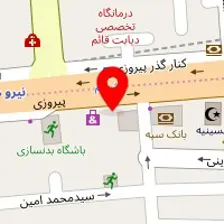 دکتر زهرا کوچکی برزی