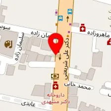 دکتر سعید مجتهد زاده