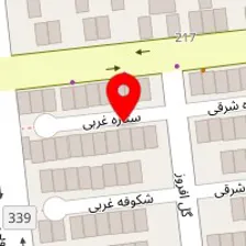 دکتر بابک حیدری