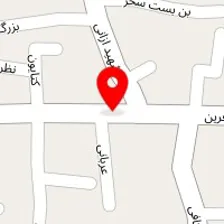 گل و گلدان اسپینو