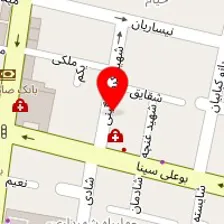 دکتر محمودرضا عباس زاده