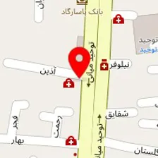 دکتر شیوا رحمانیان