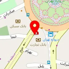 دکتر نسرین السادات دوامی