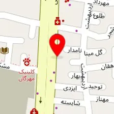 دکتر پریسا طلایی