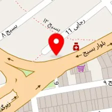 دکتر رضا میری