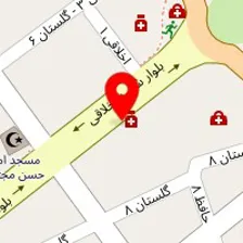 دکتر نوشین مدنی