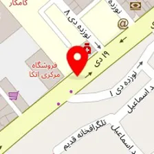 دکتر فرزانه سادات امینی نژاد