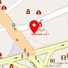 دکتر حمیده آرون