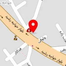 دکتر علی گودرزی