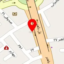 پت شاپ دکتر چاشنی گیر