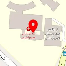 دکتر حمیدرضا حسنی