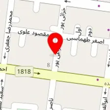 دکتر فیروزه انصاری