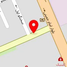 دکتر سیده فاطمه سیدی