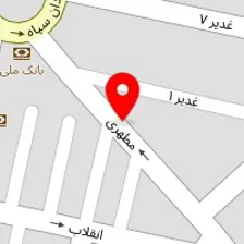 دکتر مهدی استیری