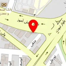 دکتر حبیب معظمی گودرزی