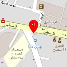 دکتر رامین رجبی