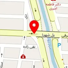 دکتر کاملیا بیرانوند حیدری