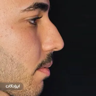 دکتر محمدمهدی مهرابی