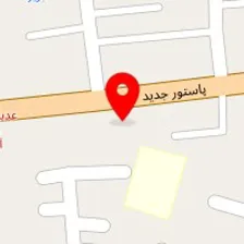 کارشناسی دکتر صمدی راد