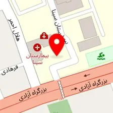 دکتر محسن پتکچی مقدم