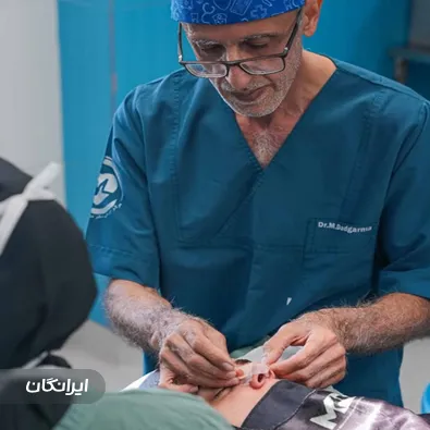 دکتر محمدحسین دادگرنیا