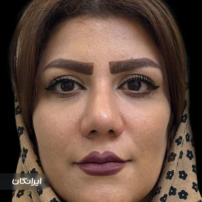 دکتر محمدحسین دادگرنیا