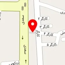 دکتر کاکتوس