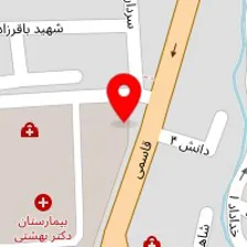 داروخانه دکتر نیلوفر امیری دانشور