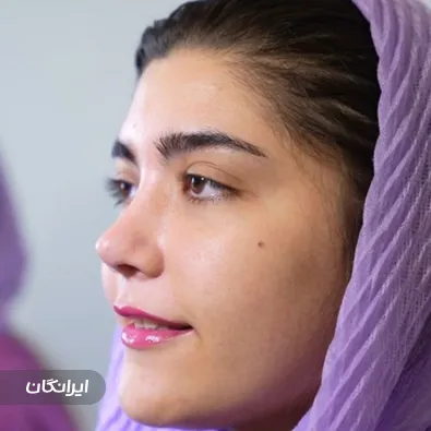 دکتر مهدی شهاب الدینی