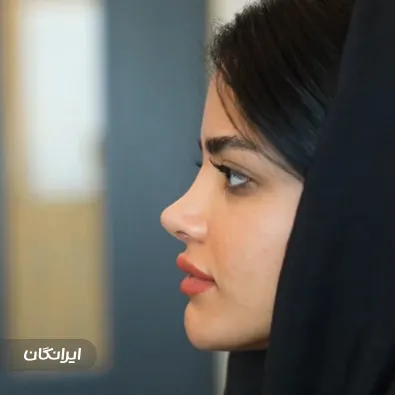 دکتر مهدی شهاب الدینی