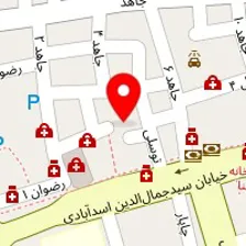 دکتر محمدرضا ضیغمی