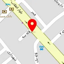 دکتر محمدصالح محمودی