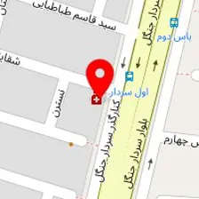 دکتر عباس محمدی لپوندانی