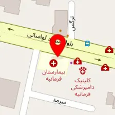 دکتر مصطفی خرمشاهی