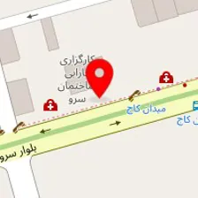 دکتر مجید صادقی