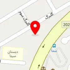 دکتر امین قربانی