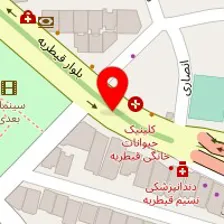 دکتر عادل رفیعی