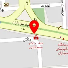 دکتر فهیمه نورانی