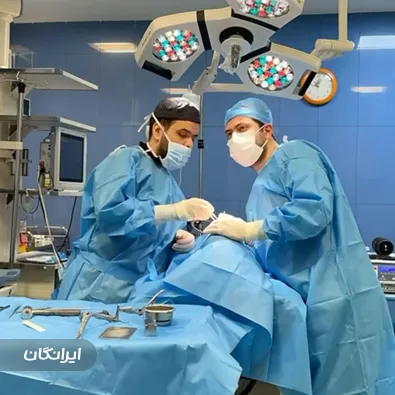 دکتر حسام اسکندرزاده