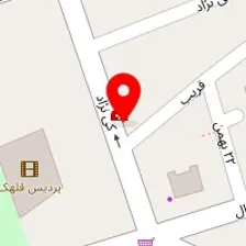 دکتر مجتبی نیک پور