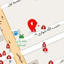 دکتر نرگس حسن لو