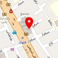 دکتر فریدون وزین دل