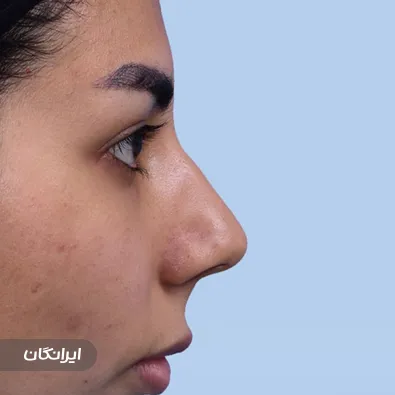 دکتر علی اصغر ذوالفقاری