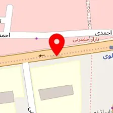 دکتر فاطمه ضامنی