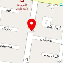 دکتر فریده افتخارزاده