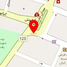 دکتر علی اکبر مهدوی زاده