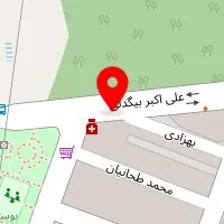 دکتر آریو موحدی