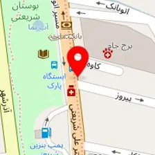 دکتر محسن علوی