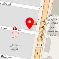 دکتر حسین فائزی پور